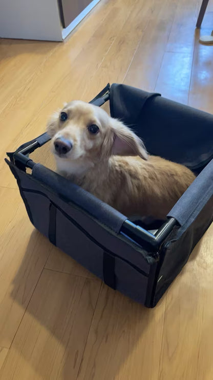 Silla de instalar en carro para mascota