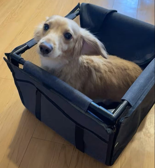 Silla de instalar en carro para mascota