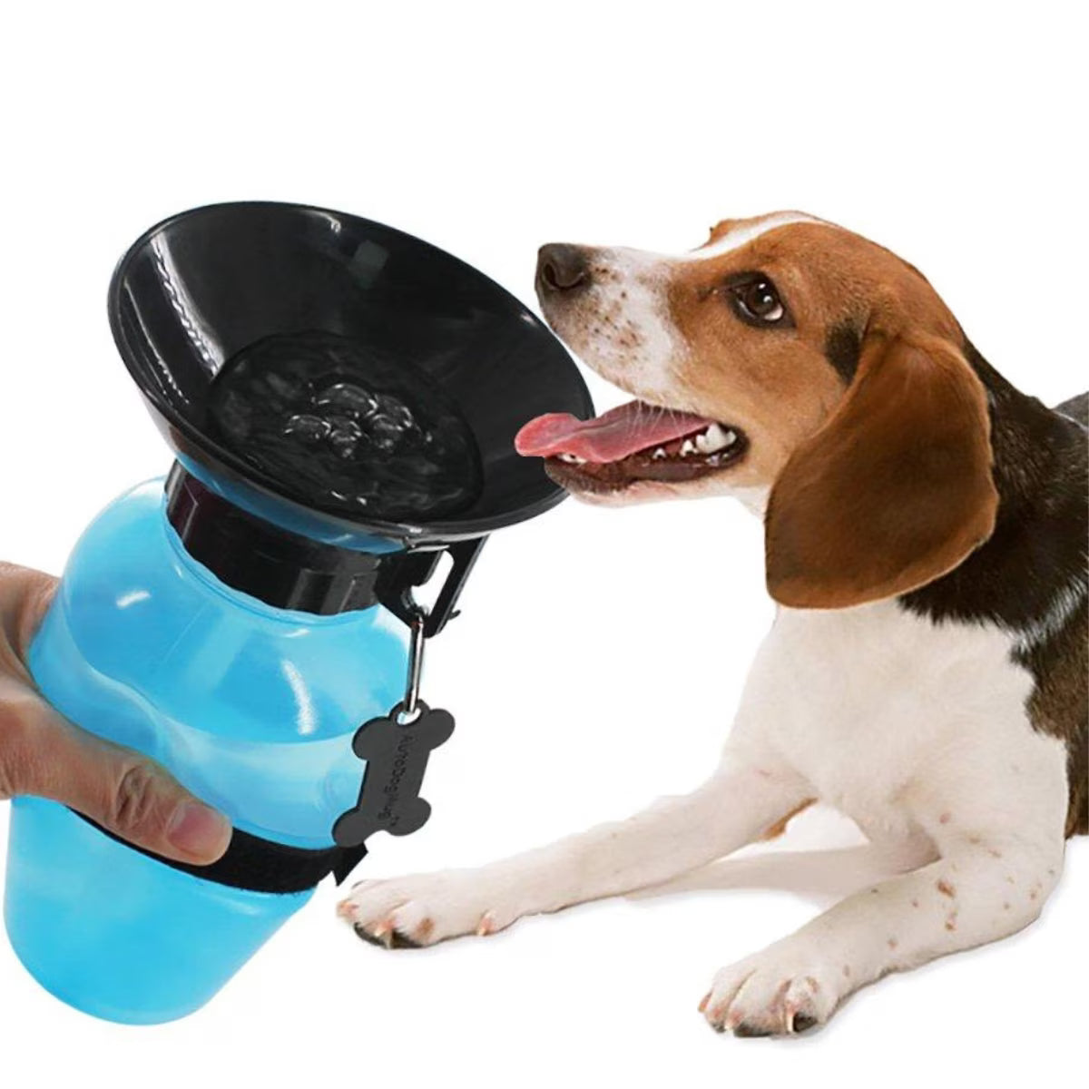 Bebedero para perros